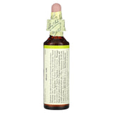 Bach Chestnut Bud frasco de 20 ml para equilibrio emocional