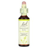 Bach Chestnut Bud con gotero para apoyar aprendizaje emocional diario
