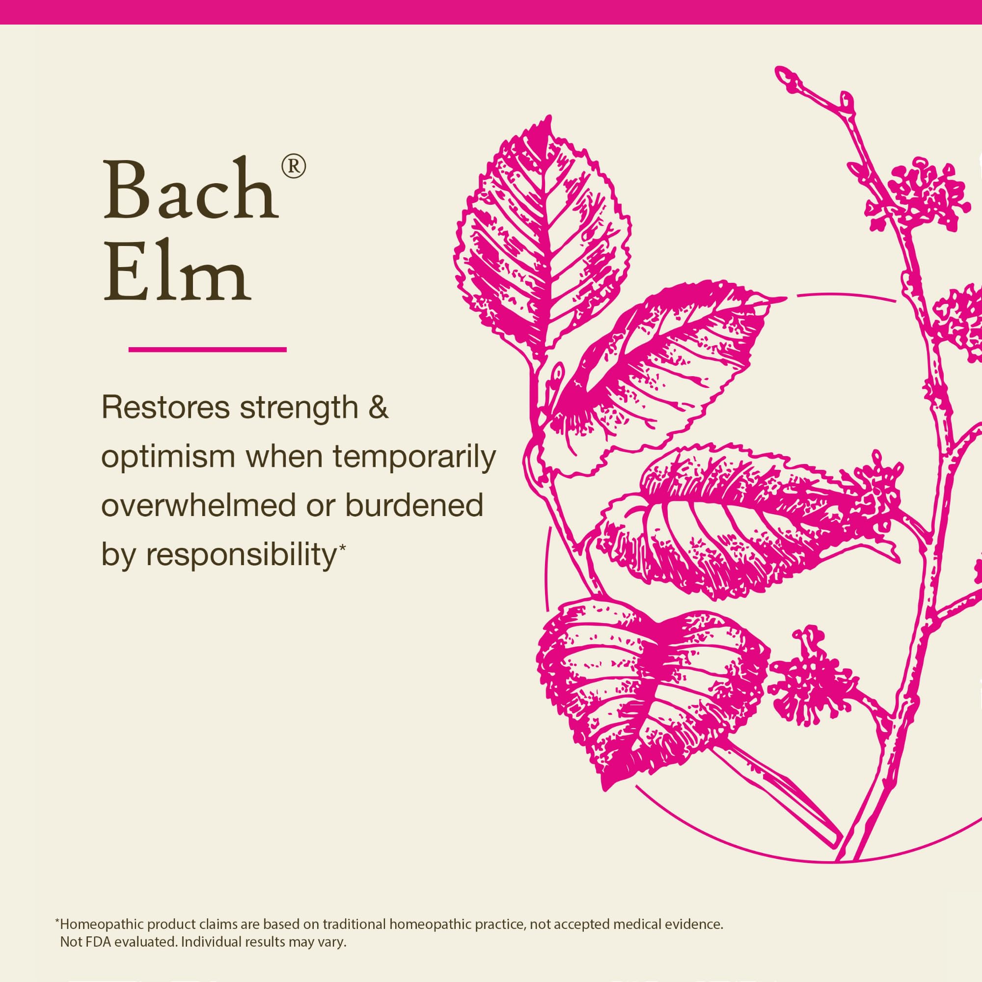 Etiqueta del producto Elm de Bach para identificar el remedio correcto.