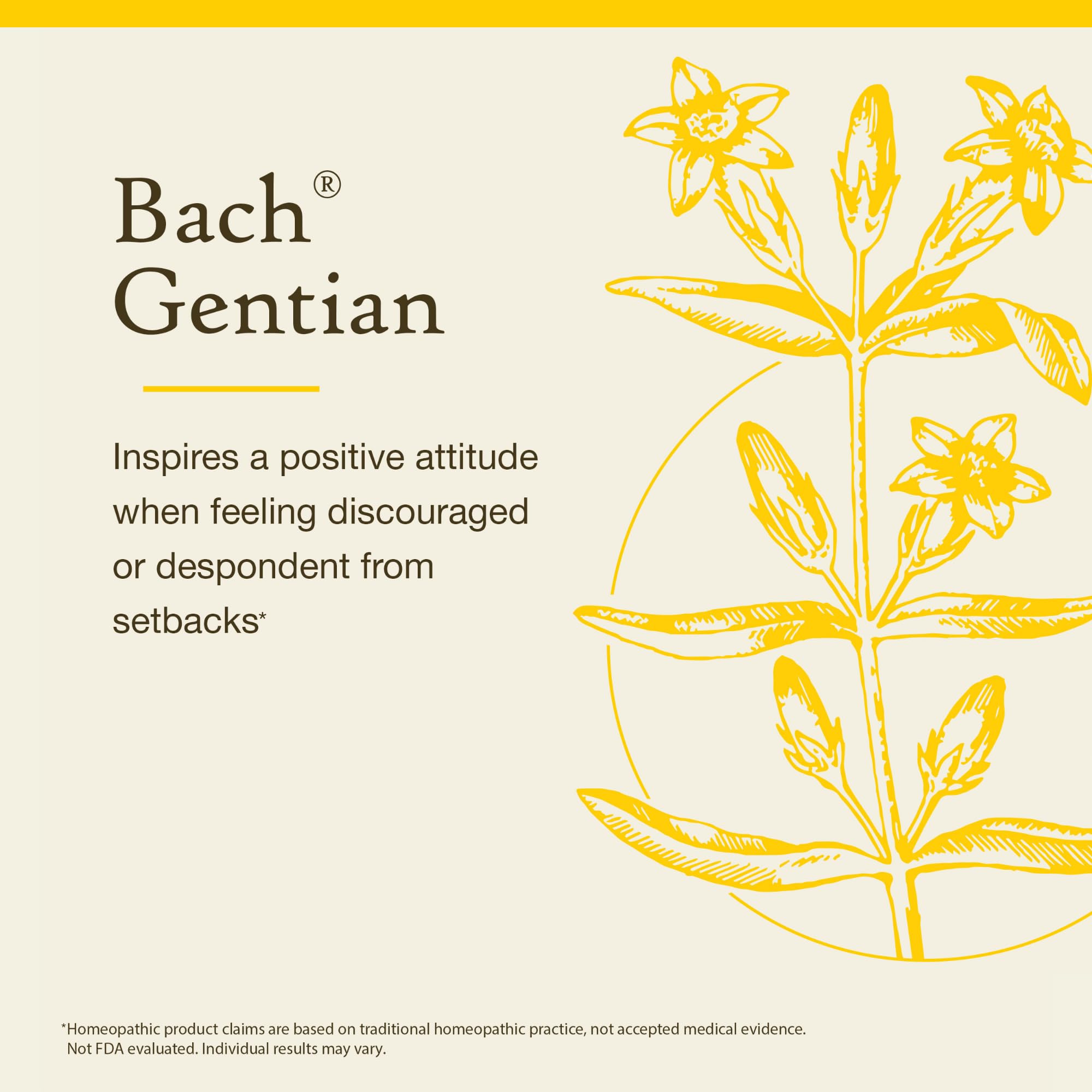 Bach Remedios Florales Gentiana, etiqueta frontal que transmite confianza.
