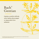 Bach Remedios Florales Gentiana, etiqueta frontal que transmite confianza.