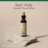 Bach Holly: mezcla fácil en bebida para rutina personalizada.