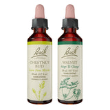 Bach Remedios Florales Chestnut Bud, botella de gotas para aprender del pasado y avanzar.