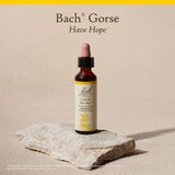 Bach Remedios Florales Originales Gorse envase sostenible para bienestar consciente