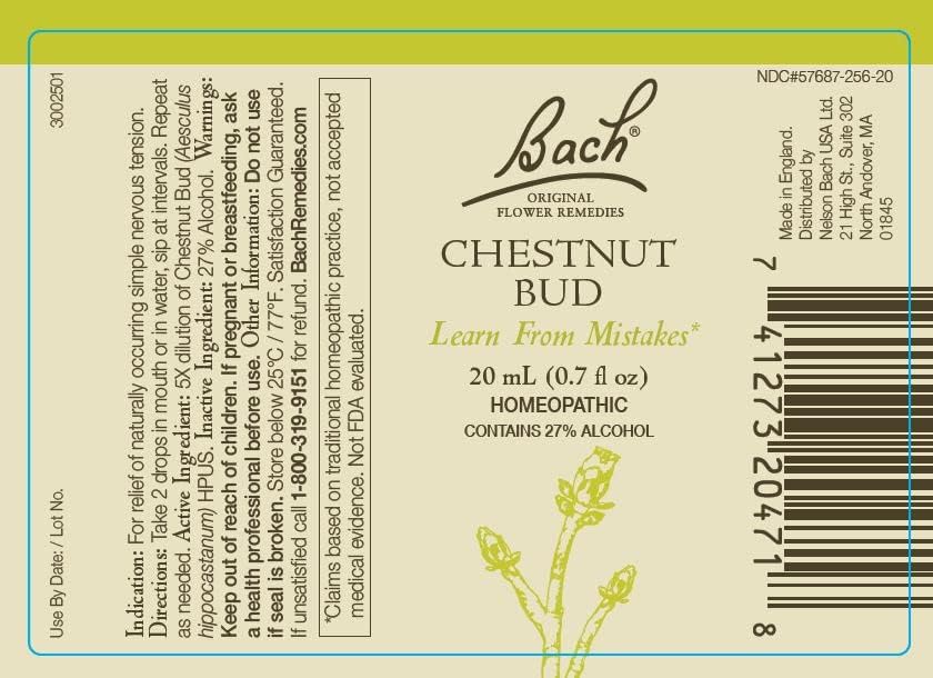 Bach Remedios Florales Walnut, botella de gotas para adaptarse al cambio con constancia.
