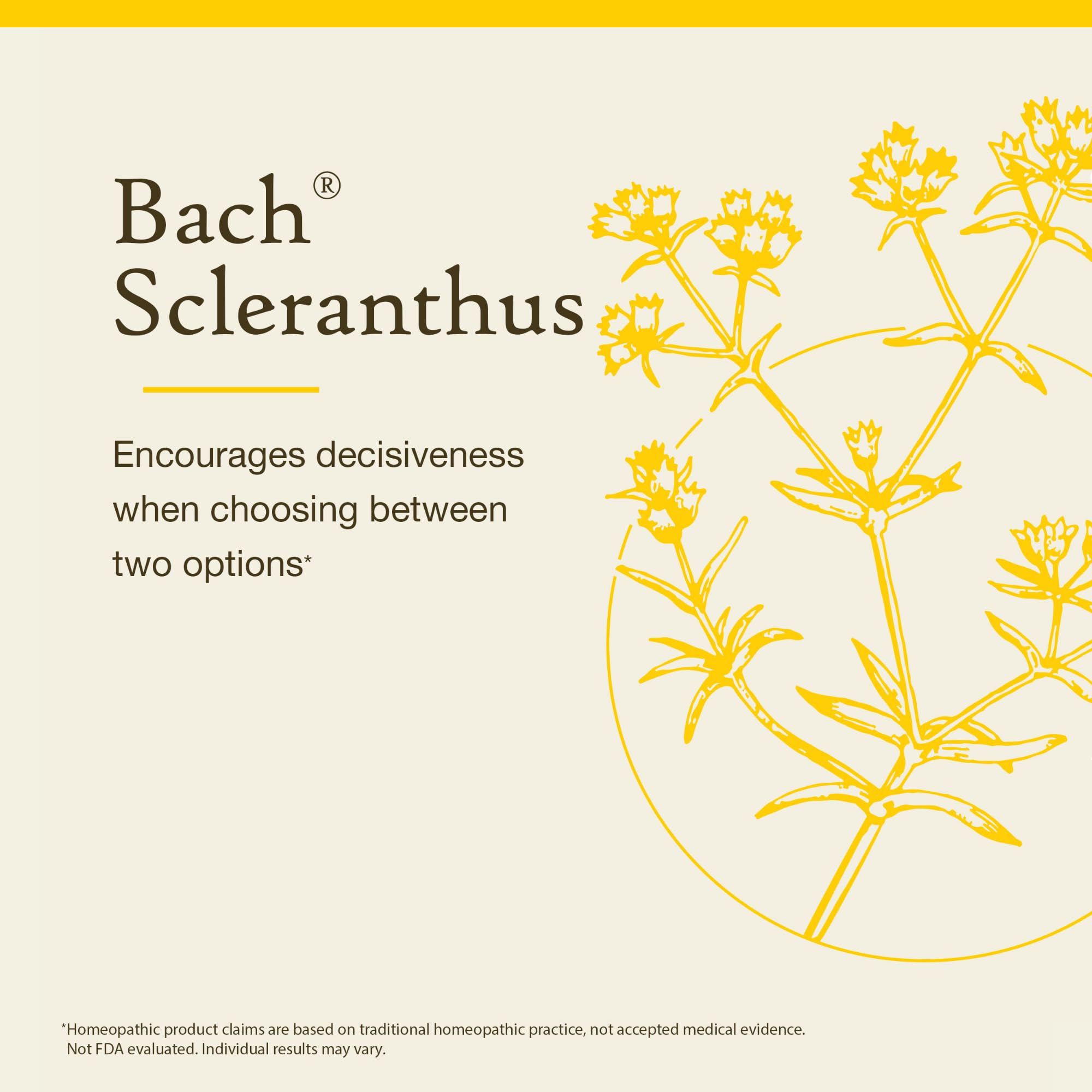Bach Remedios Florales Scleranthus: dos-gotas bajo la lengua para calma.