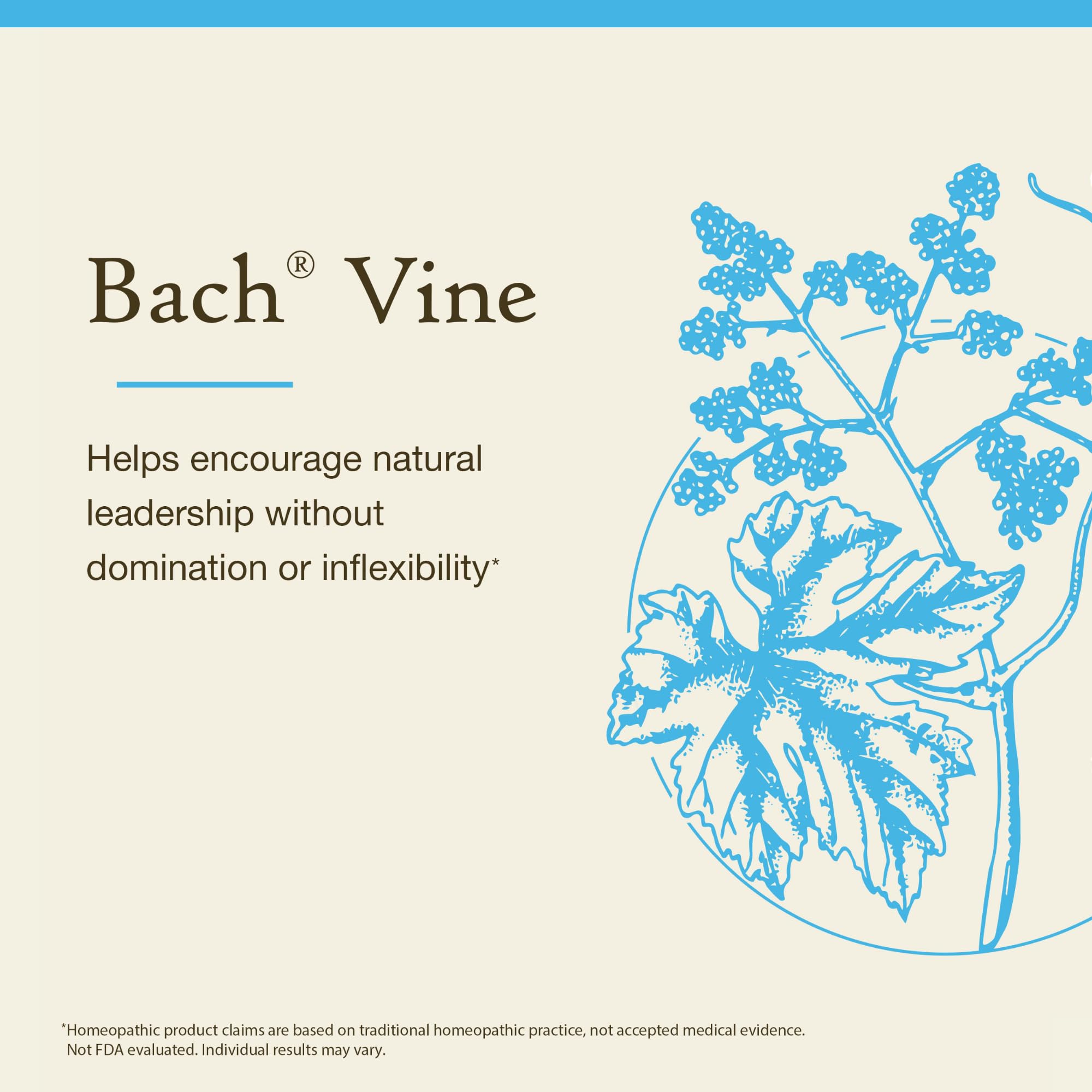 Bach Vine: caja-envase elegante que facilita su almacenamiento diario.