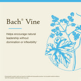 Bach Vine: caja-envase elegante que facilita su almacenamiento diario.