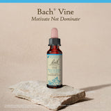 Bach Vine: mezclar en bebida para apoyar momentos de concentración sin presión.