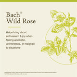 Wild Rose de Bach: gotero práctico para dosis según necesidad.