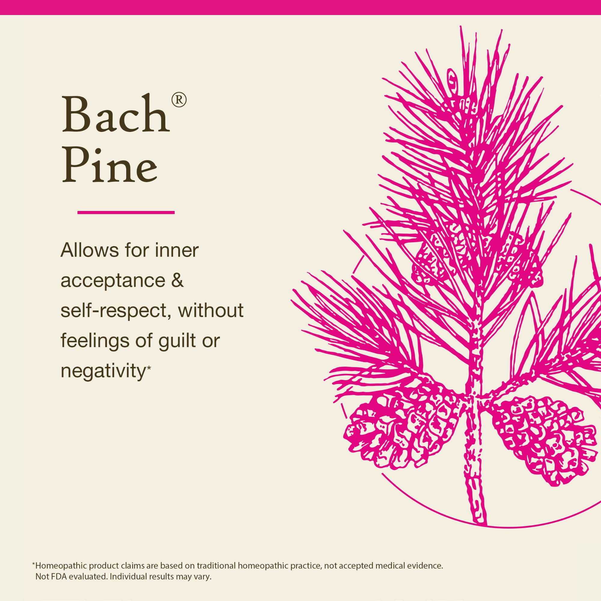 Etiqueta natural del envase de Pino de Bach.