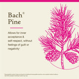 Etiqueta natural del envase de Pino de Bach.