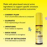 Empaque bilingüe de Bach Rescue Kids Spray para familias.