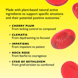 Pastilla de Bach Rescue Sandía, lista para consumir cuando haga falta.