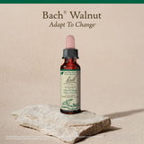 Escena en casa usando Bach Walnut para gestionar cambios