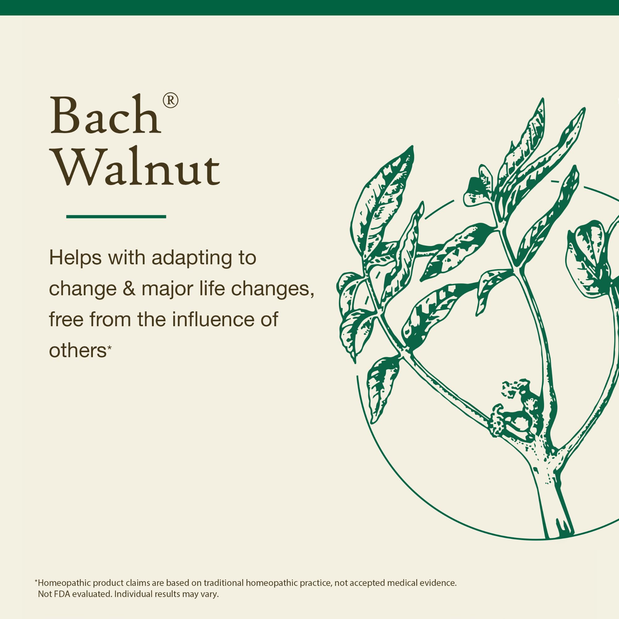 Etiqueta informativa de Bach Walnut y métodos de uso