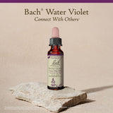 Remedios Florales Bach Violeta de Agua, esencia floral para empatía y cercanía.