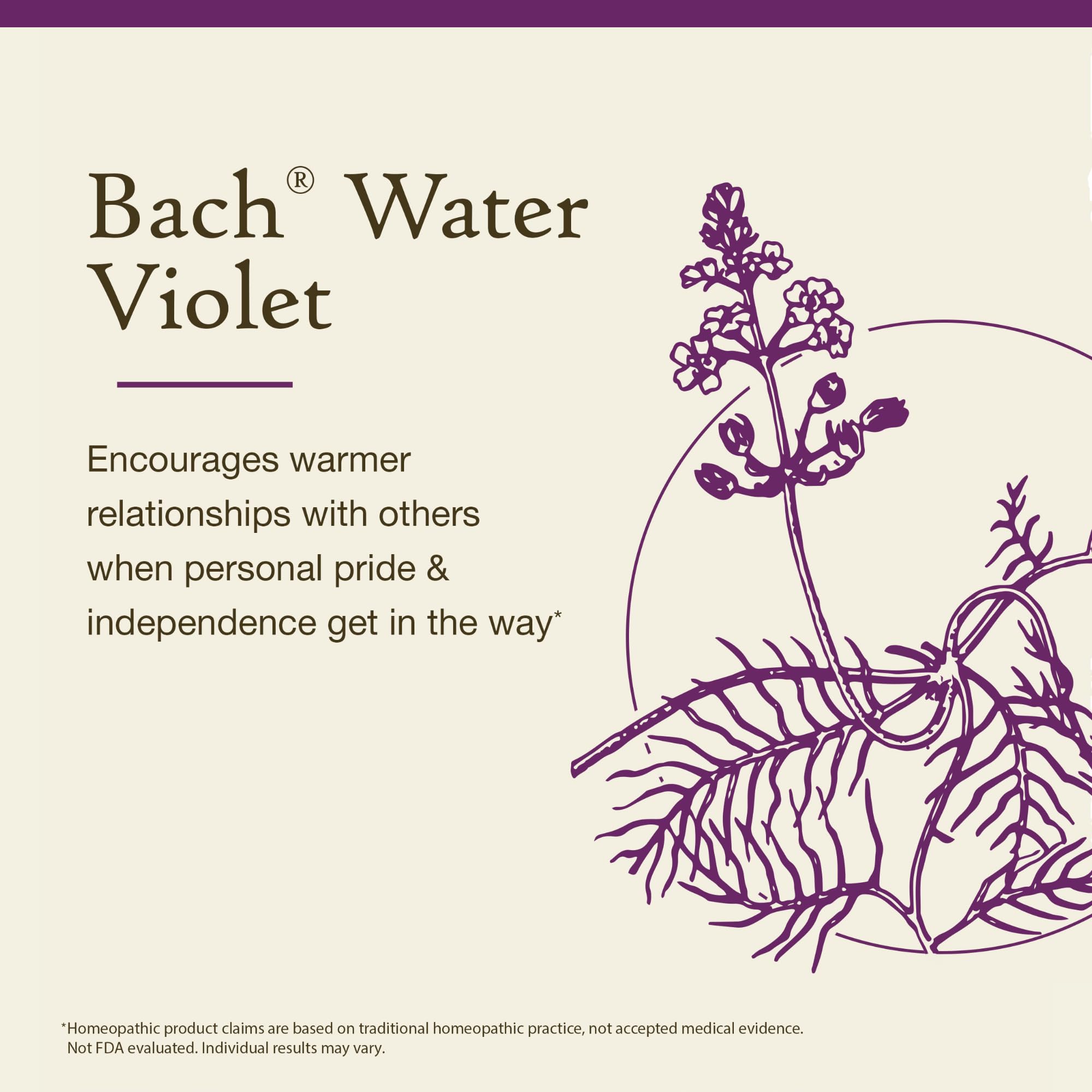 Remedios Florales Bach Violeta de Agua, entorno tranquilo, ayuda a escuchar a otros.