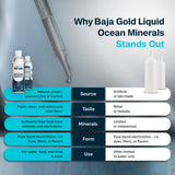 Baja Gold Envase 355 ml: práctico y limpio para casa.