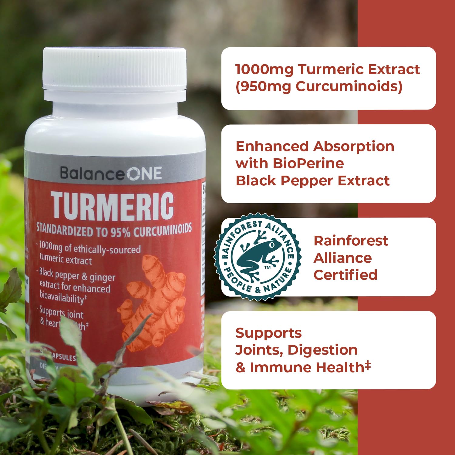 Balance ONE jengibre extracto 100 mg para apoyo antioxidante