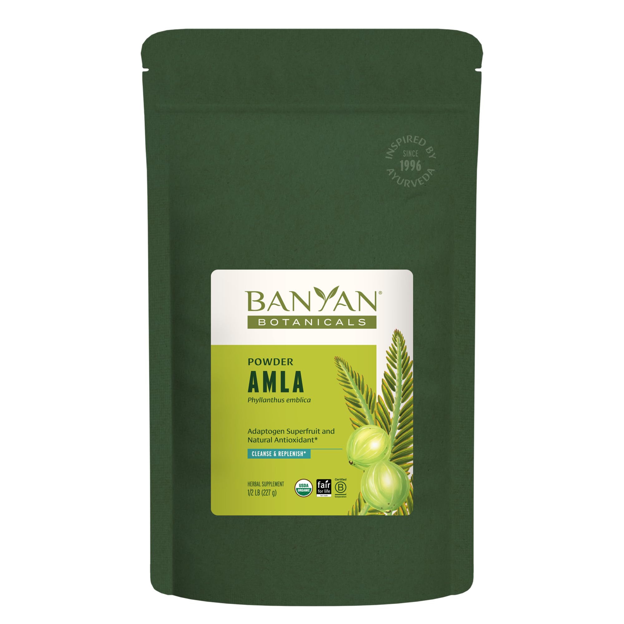 Banyan Botanicals polvo de amla orgánico con vitamina C para la digestión suave