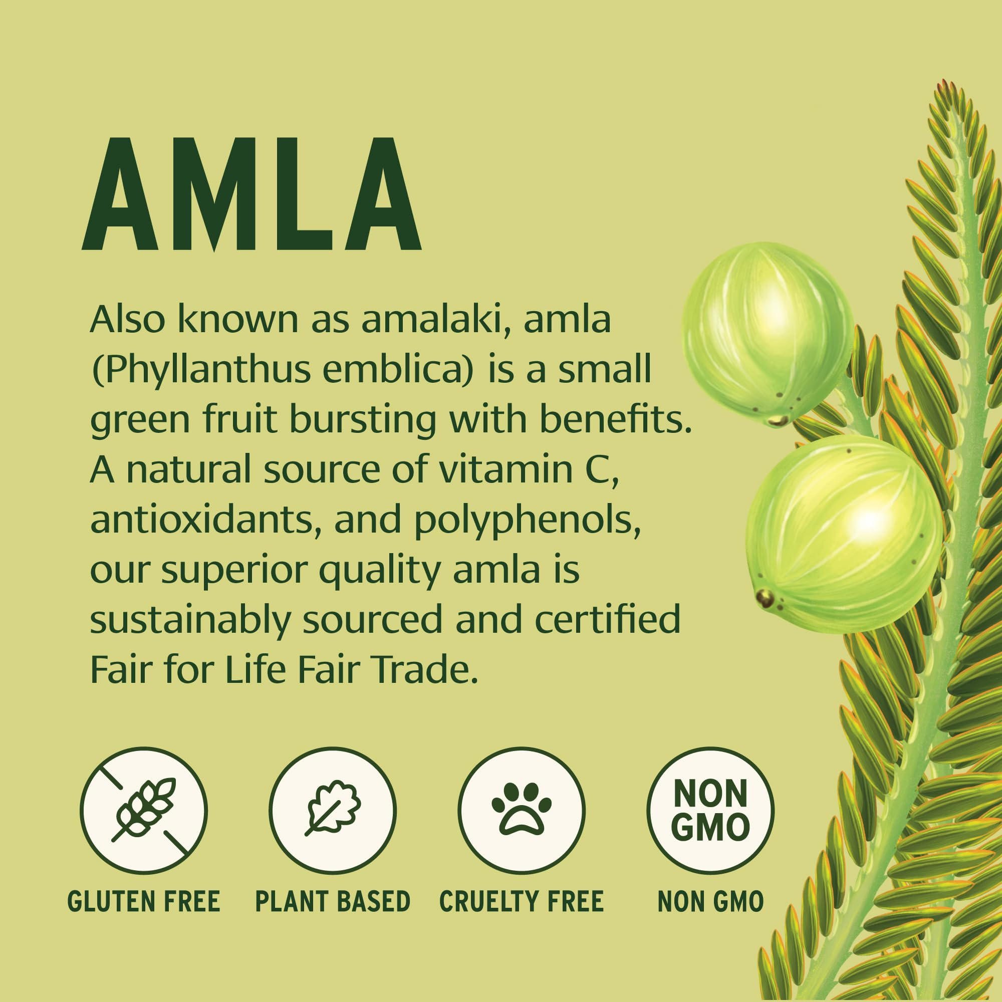Polvo de amla Banyan Botanicals ideal para batidos y recetas saludables
