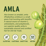 Polvo de amla Banyan Botanicals ideal para batidos y recetas saludables