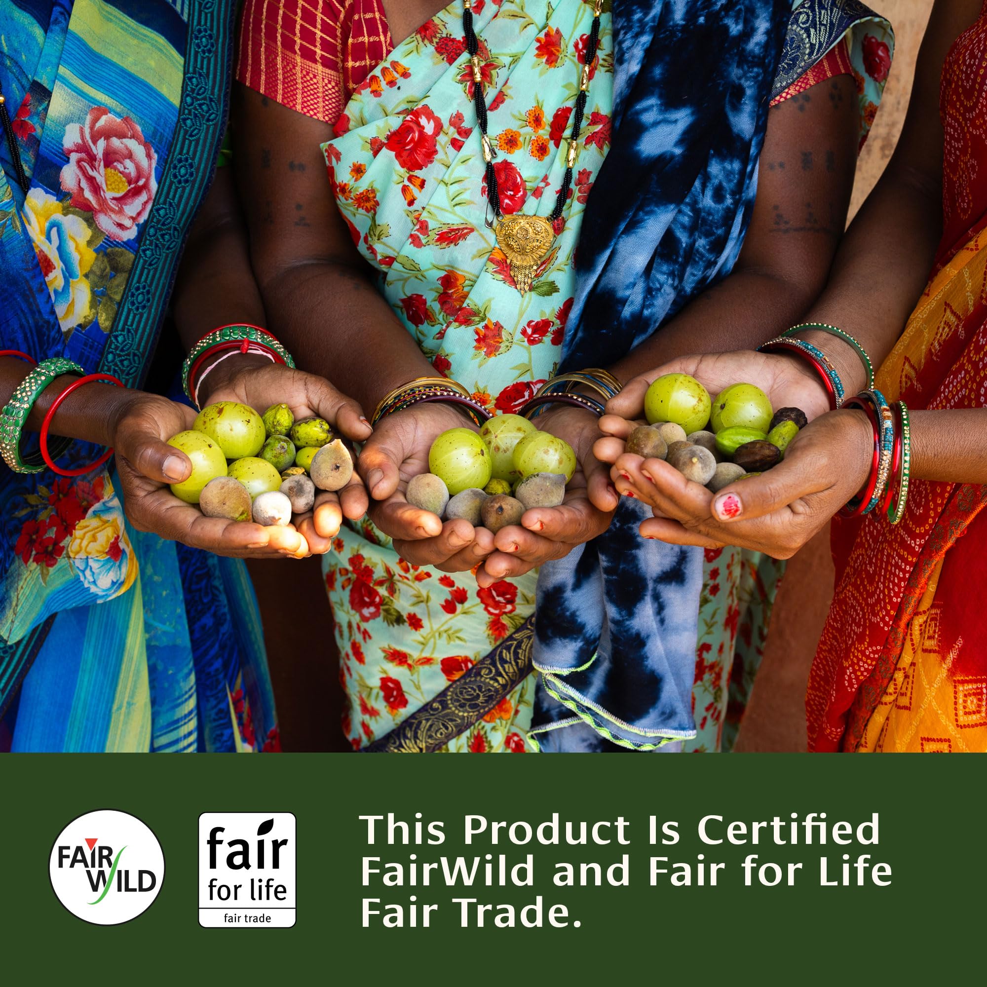 Triphala orgánico USDA certificado y libre de GMO