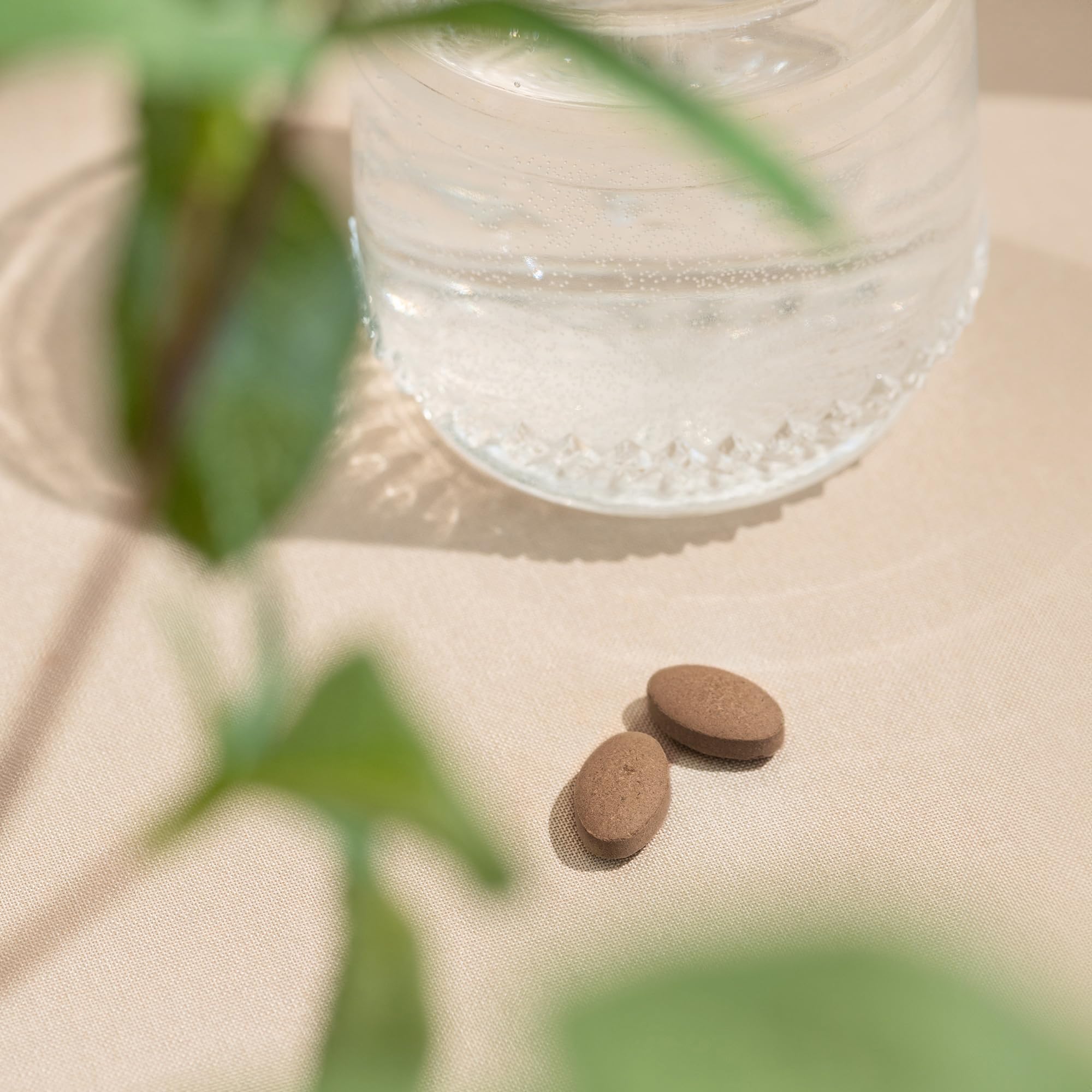 Capsula de Tulsi Banyan Botanicals, práctico ritual diario para bienestar.