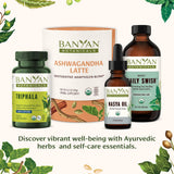 Banyan Nasya sin químicos y certificado USDA para tranquilidad