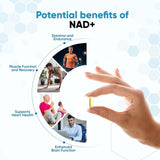 Bargad NAD+ ingredientes listados con Resveratrol y Quercetina