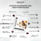 Enfoque mejorado con hongos funcionales Barker Wellness.