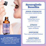 Barlean's Mood Booster: ingredientes clave, L-Theanine y Rhodiola