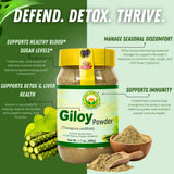 Etiqueta de BASIC AYURVEDA Giloy Powder sin colorantes ni sabores añadidos