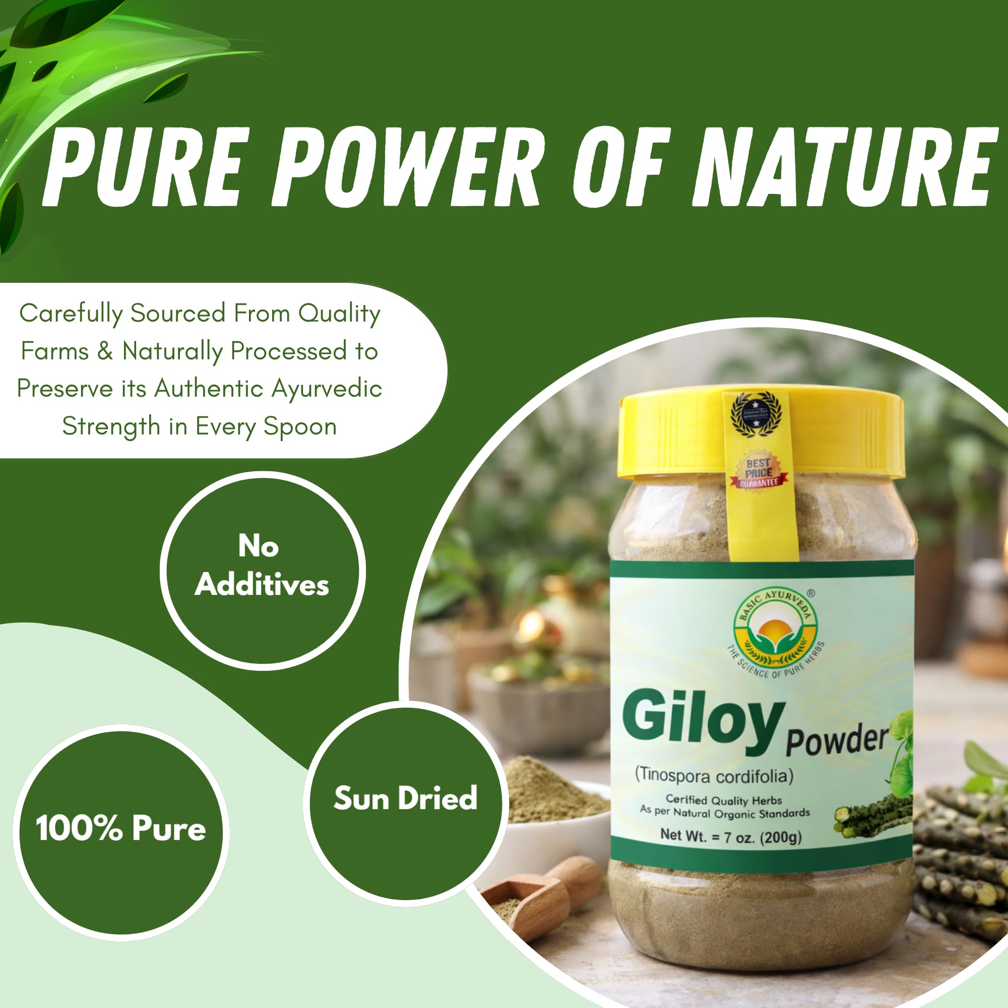 Giloy Powder para té de hierbas, mezcla suave y rápida