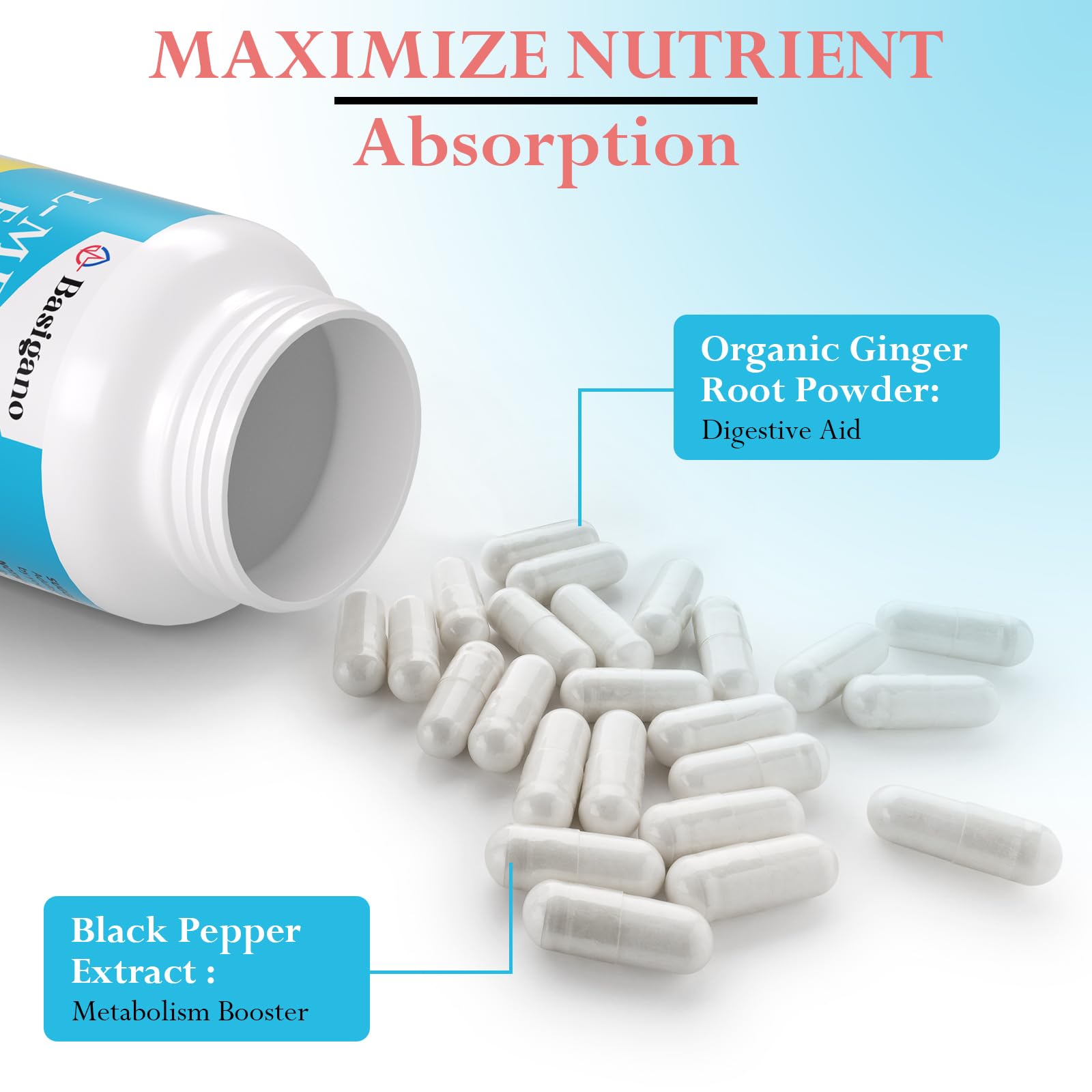 Piperina Basigano para potenciar la absorción de nutrientes