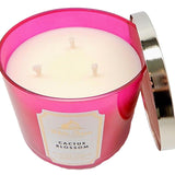 Ritual de relajación con vela Bath & Body Works Cactus Blossom.