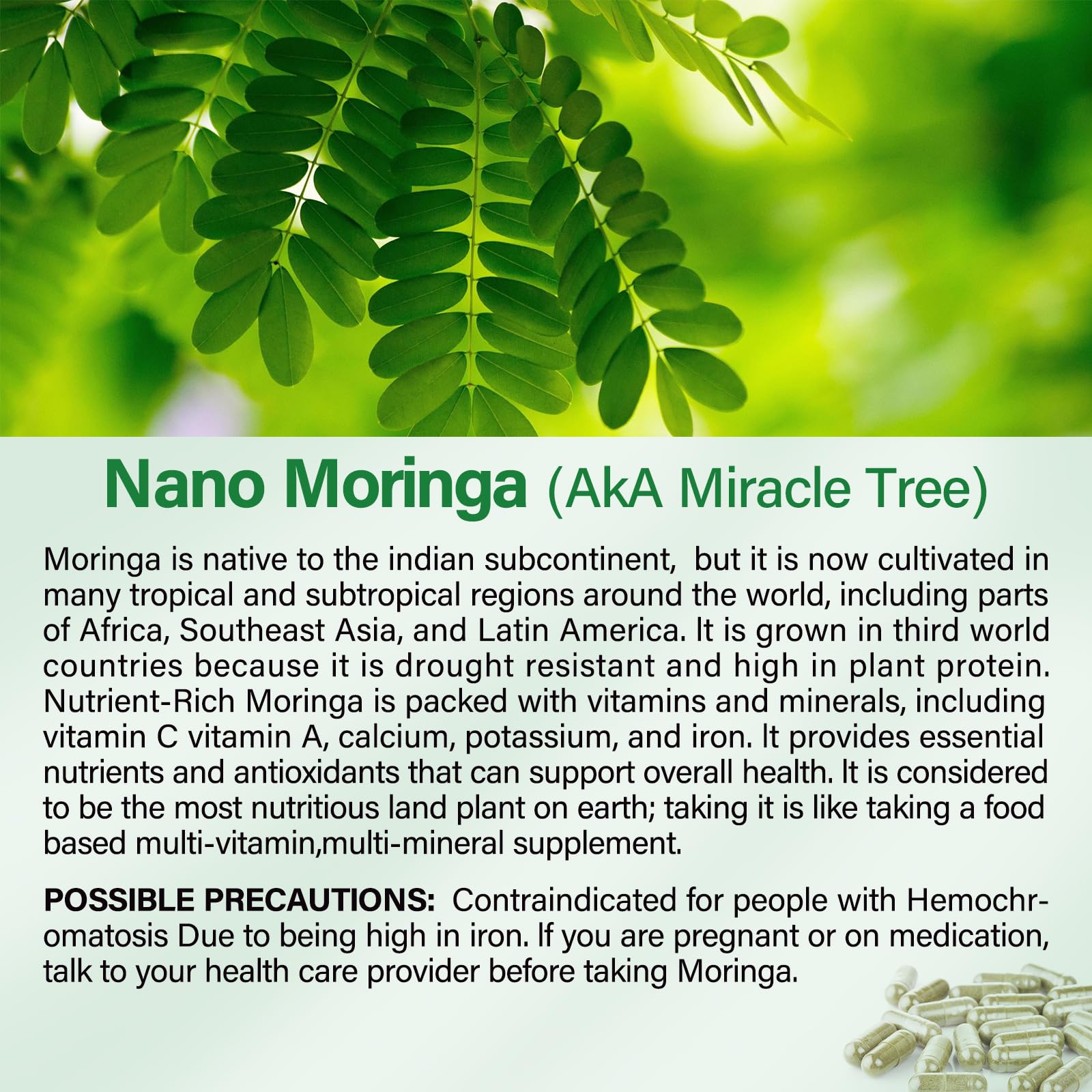 Bcuelov Moringa: cápsulas en mano, fácil consumo diario.