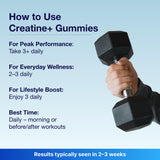 Bear Balanced inspira estilo de vida activo con gominolas de creatina