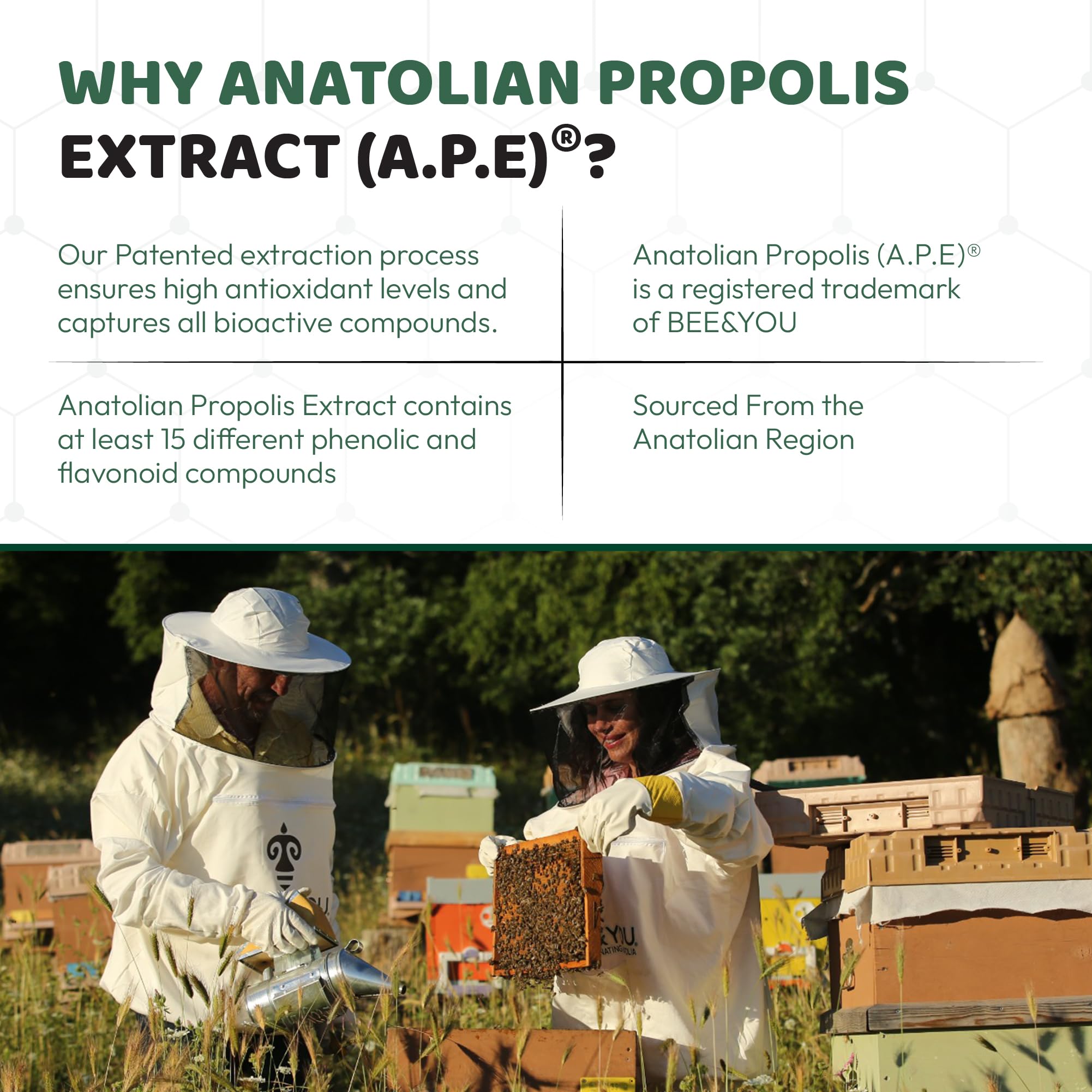 BEE & YOU Apicultura sostenible: apoyo a apicultores y biodiversidad.