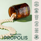 Beekeeper's Naturals MegaDuo probiotico esporas que resisten el recorrido digestivo