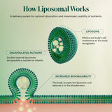 Beekeeper's Naturals: uso cómodo al abrir y mezclar con bebida