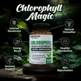 Benevolent Nourishment frasco de cápsulas clorofila 350mg, apoyo a la inmunidad diaria.
