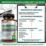 Benevolent Nourishment producto libre de OGM, clorofila 350mg, pureza garantizada.