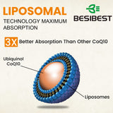 Besibest CoQ10 liposomal 1000mg, textura suave de cápsulas para toma diaria.