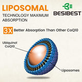 Besibest ubiquinol liposomal, ingredientes veganos destacados