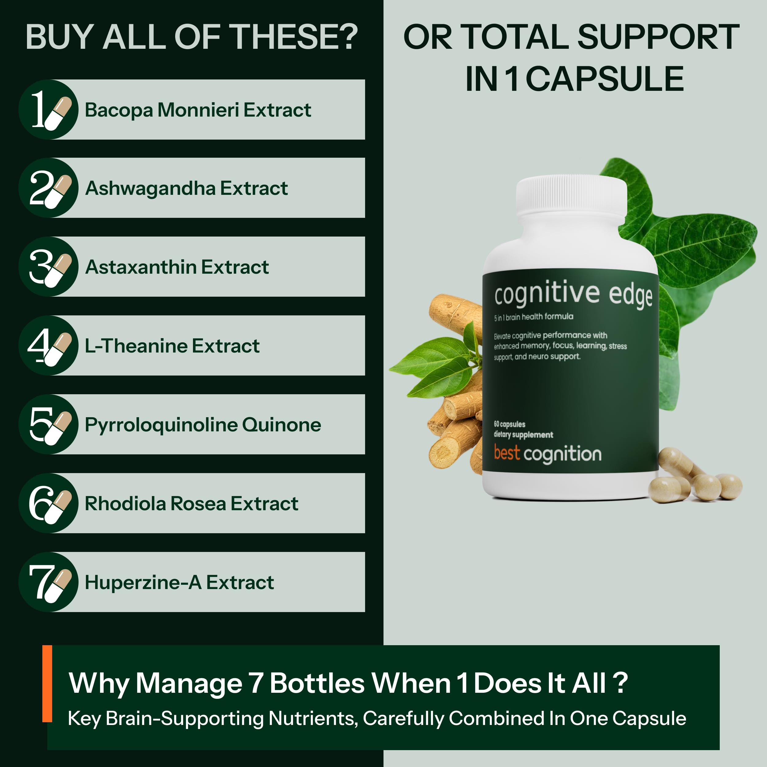 BEST COGNITION Cognitive Edge: mezcla de ingredientes naturales para apoyo cognitivo diario.