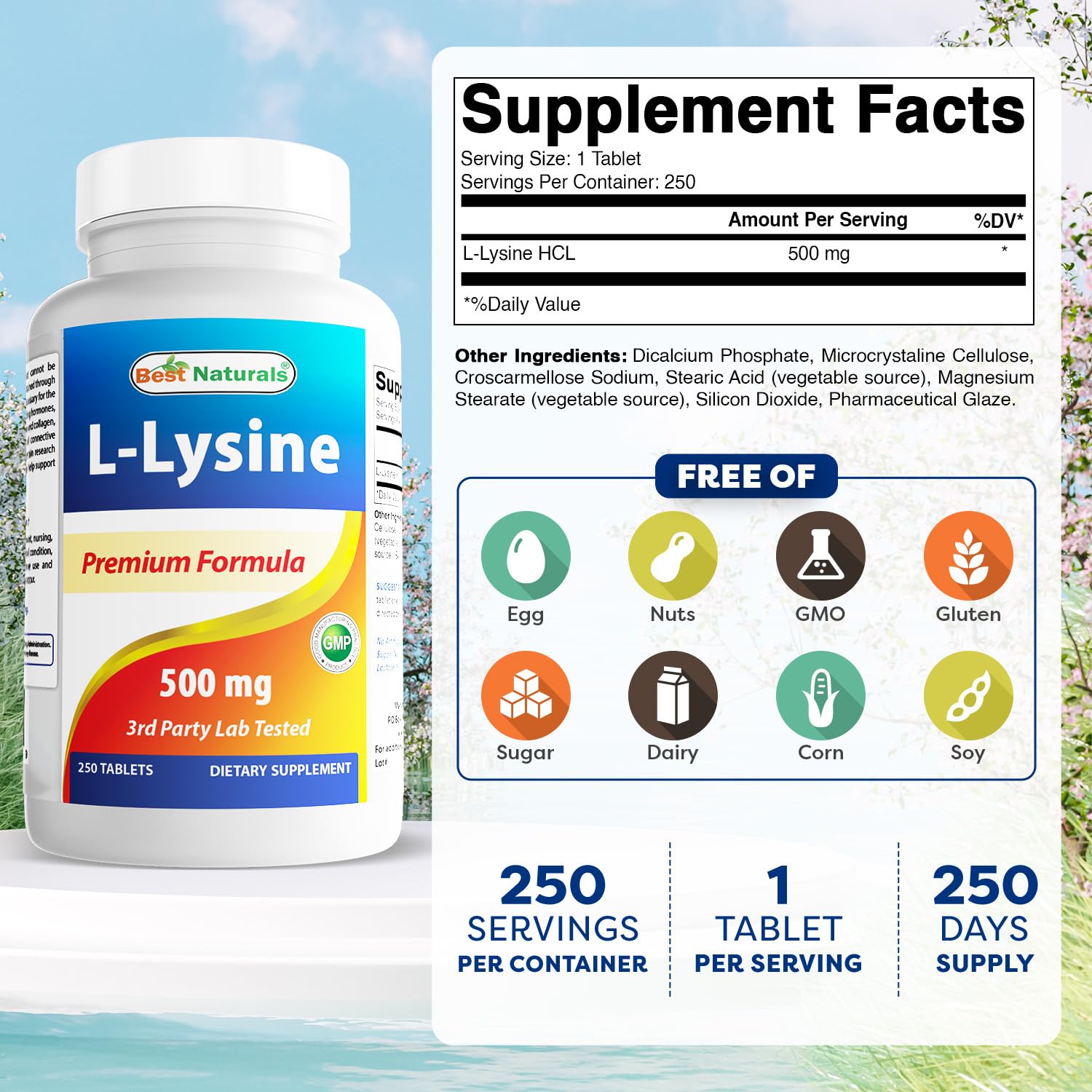 Best Naturals L-Lisina 500 mg, botella trasera, etiqueta clara y pureza.