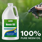 Best Naturals Neem puro, aceite para aromaterapia y bienestar del hogar.