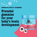 Etiqueta de Mama Bird Prenatal Multi Plus mostrando nutrientes esenciales